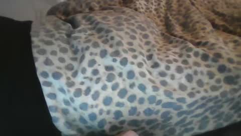 Aussiecockpumper76 online show from 03/04/25, 05:21