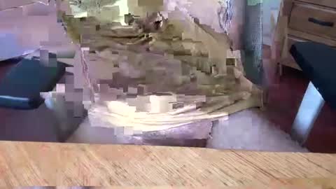 Snapshot of aussielatino82 chatting on 03/05/25, 05:07 Rich online show from 03/05/25, 05:07