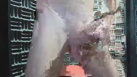 aussieraz online show from 12/16/24, 08:20