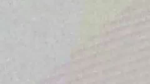 Snapshot of avgjoe555 chatting on 06/29/26, 02:17 avgjoe555 online show from 06/29/26, 02:17