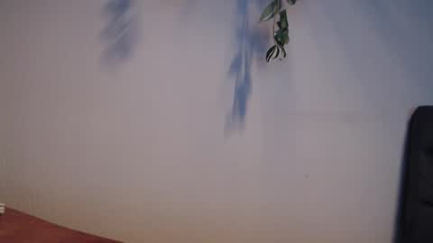 Snapshot of awesome86m chatting on 05/19/26, 07:20 PiPa online show from 05/19/26, 07:20