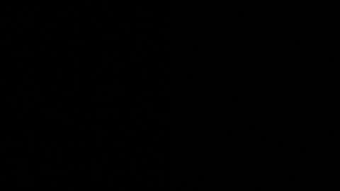 Axell Cross2 online show from 11/04/25, 09:52