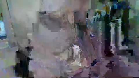 BERT online show from 05/28/26, 05:43