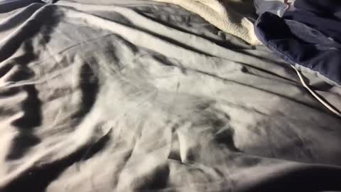 b0rk3r online show from 12/11/24, 05:53