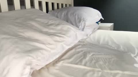 Snapshot of b1gd0ng1111 chatting on 09/17/25, 09:44 b1gd0ng1111 online show from 09/17/25, 09:44