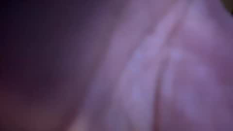 Snapshot of baby_buddha chatting on 01/29/25, 01:28 baby buddha online show from 01/29/25, 01:28