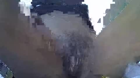 baby_facii online show from 11/02/25, 07:55