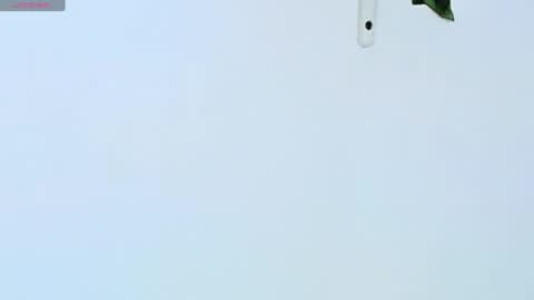  Dani  online show from 04/26/26, 03:37