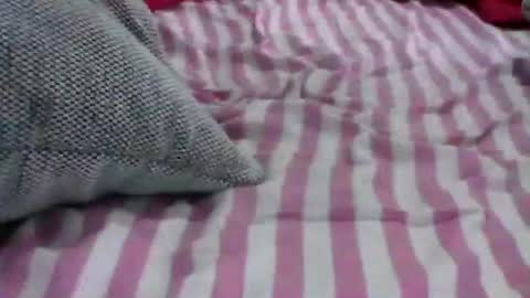 babydollxoxoxo123 online show from 04/19/26, 06:21