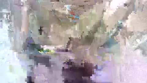 babymom1 online show from 03/07/25, 08:33