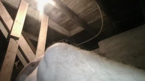 babyxxxangel online show from 09/20/25, 09:43