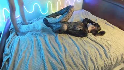 bada_b1ng online show from 12/07/24, 02:35