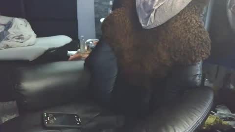 Badboy95 online show from 04/03/26, 04:10