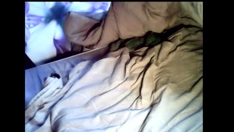 Baghira online show from 02/22/26, 12:15