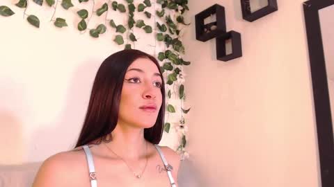 bahianawood online show from 12/12/24, 06:21