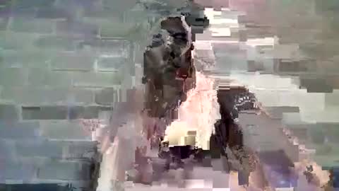 Chaterlain online show from 01/10/25, 11:54