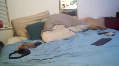 bakerbeachismygig online show from 02/15/26, 01:57