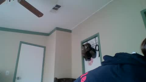 bamacpl80 online show from 12/27/24, 05:26