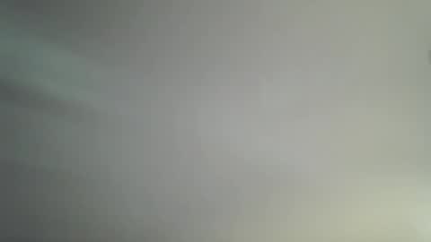 Bambi online show from 04/14/26, 11:16