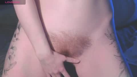 . online show from 04/10/26, 03:17