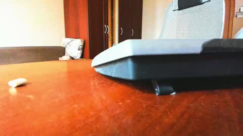 Snapshot of banana_skinny_boy chatting on 02/06/25, 09:43 BananaBoy online show from 02/06/25, 09:43