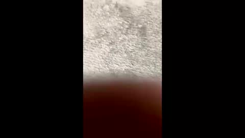 BarbaraDavid online show from 03/10/26, 03:28