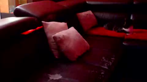 BARBARA online show from 09/12/25, 08:31