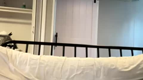 Tsbaby301 online show from 03/02/26, 06:59