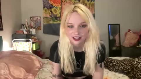 Bardot Eyed online show from 12/02/25, 08:37