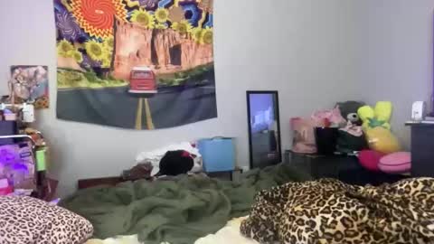 Bardot Eyed online show from 12/16/25, 08:47