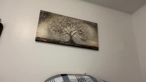 chicka online show from 02/14/25, 06:02