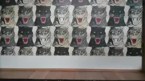 Bas online show from 03/06/25, 04:07