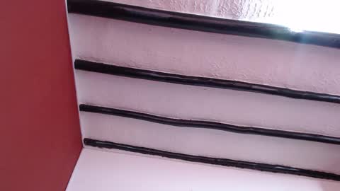 bayonette_black online show from 01/19/25, 11:45