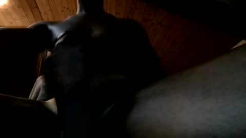 Snapshot of bbc4bearsndaddies chatting on 06/02/26, 09:39 Ferdinandooo online show from 06/02/26, 09:39