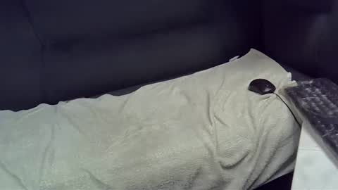 bbc_highness online show from 02/21/25, 09:11