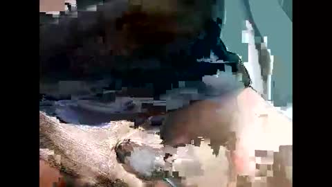 Snapshot of bbcbrazilianboy chatting on 09/28/25, 04:18 bbcbrazilianboy online show from 09/28/25, 04:18