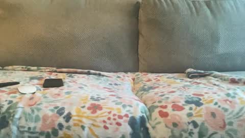 Zaddy online show from 01/30/25, 09:58