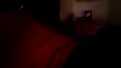 bbetoven online show from 10/27/25, 06:50