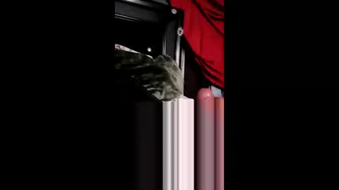 bbetoven online show from 06/04/26, 09:48