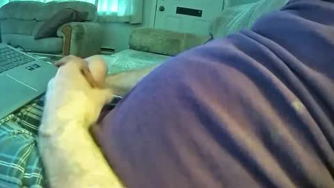 bcema2 online show from 01/06/26, 08:01