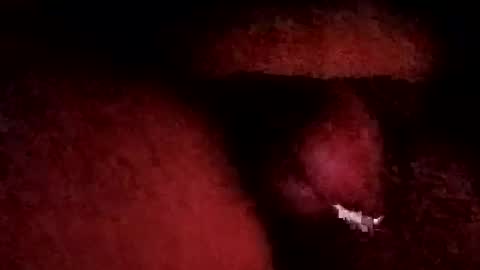 bcfalcon69 online show from 01/19/26, 06:06