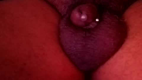 bcfalcon69 online show from 03/24/26, 12:26