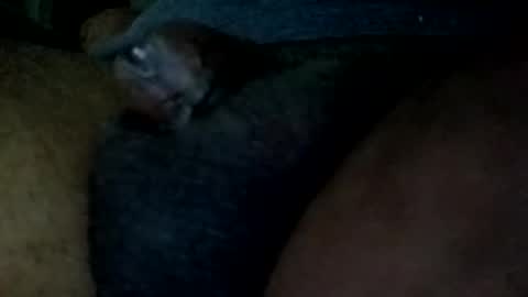 Snapshot of bcfalcon69 chatting on 05/31/26, 04:53 bcfalcon69 online show from 05/31/26, 04:53