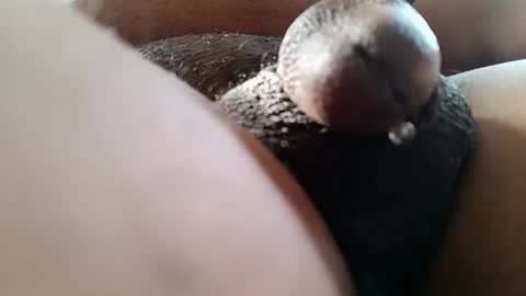Snapshot of bcfalcon69 chatting on 06/07/26, 12:42 bcfalcon69 online show from 06/07/26, 12:42