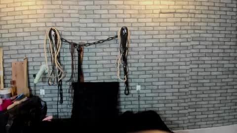 Meduza  online show from 11/14/25, 01:10