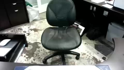 beagle1 online show from 10/14/25, 12:00