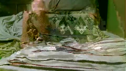 beagle1 online show from 11/01/25, 08:55