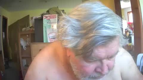bear online show from 04/26/26, 02:37