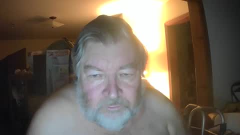 bear online show from 05/17/26, 07:28
