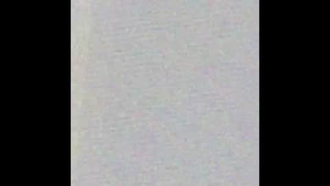 Bearvixen online show from 01/09/26, 04:21